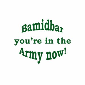 bamidbar blog